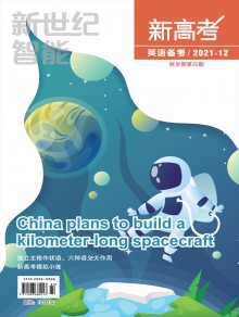 新世纪智能期刊